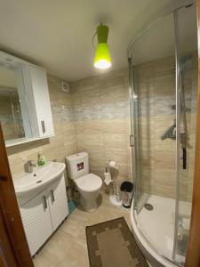 ein Bad mit einer Dusche, einem WC und einem Waschbecken in der Unterkunft RYTO GARSAI in Merkinė
