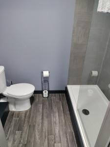 a bathroom with a toilet and a sink and a tub at Harleys Inn in Chesterfield