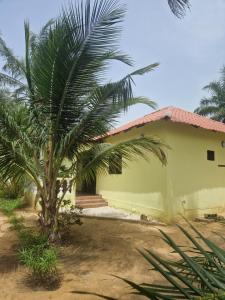 a palm tree in front of a house at La Cazasamba in Cap Skirring