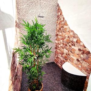 Koupelna v ubytování Finca La Estrella by Don Robertos Finca Paraíso