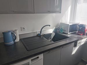 eine Küchentheke mit einer Spüle und einer Mikrowelle in der Unterkunft Studio avec cuisine séparée tout proche de la gare in Annemasse