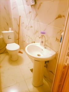 a bathroom with a sink and a toilet at Alkan konuk evi in Urfa