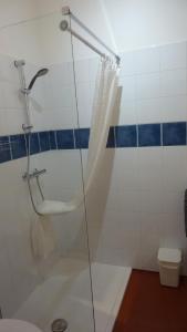 La salle de bains est pourvue d'une douche et de toilettes. dans l'établissement Studio ville très calme, à Tarbes