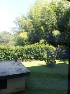 a view of a garden with a bench and trees at Casa Céline in Mestre