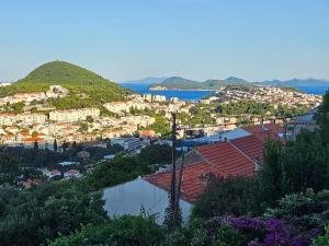 Príroda v okolí apartmánu