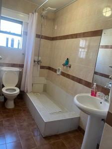 a bathroom with a shower and a toilet and a sink at Lux Suites Lantana Road Apartments westlands in Nairobi