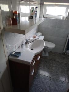 a bathroom with a sink and a toilet at New Center of Vilnius in Vilnius