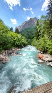 Un río con rápidos en medio de un bosque en Studio Cabine 4 pers Les2Alpes 21m², en Les Deux Alpes