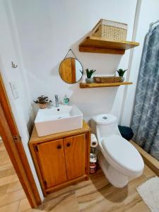 a bathroom with a toilet and a sink at Casa Bambú, con ac y wifi in Puerto Jiménez