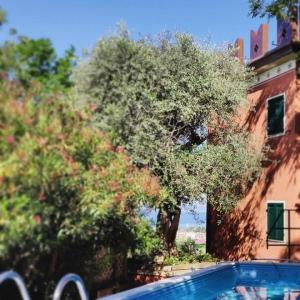 a swimming pool next to a building and a tree at Hotel Castello S. Antonio in Lazise