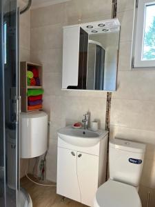 een badkamer met een toilet, een wastafel en een spiegel bij Brīvdienu namiņš in Ludza