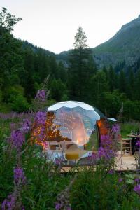 Příroda nedaleko luxury tent