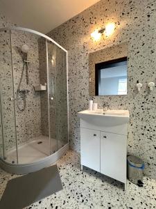 a bathroom with a shower and a sink at BREZA HOUSE apartments in Zlín