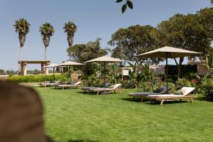 a group of lounge chairs and umbrellas on the grass at Vestige Son Vell in Ciutadella