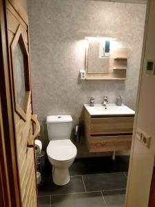 a bathroom with a toilet and a sink at Kota Wadway in Spanbroek