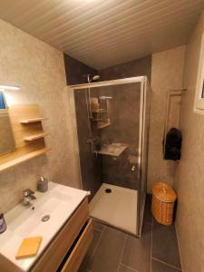 y baño con ducha y lavamanos. en Kota Wadway en Spanbroek