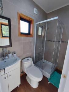 a bathroom with a shower and a toilet and a sink at Hermosa vista y casa acogedora in Pinto