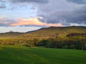 a green field with a mountain in the background at Złota Widokówka in Jaworze