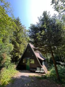 Vakantiewoning Sunclass Durbuy Ardennen huisnummer 68 في دربي: كابينة صغيرة مع باب أخضر في الغابة