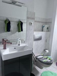uma casa de banho com um lavatório, um WC e um espelho. em Ferienwohnung "Lilly" inklusive Nutzung W-Lan Bettwäsche und Handtücher em Annaberg-Buchholz