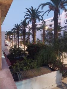 desde el balcón de un complejo con palmeras en Chambre des palmiers en Rabat