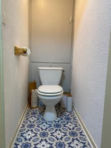 a bathroom with a toilet with a blue and white floor at Home Sweet Sauze - Chaleureux appartement - Lumineux et calme - Vue sur la montagne in Enchastrayes