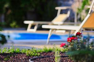 Bassein majutusasutuses Masseria Trullo Sovrano Exclusive B&B või selle lähedal