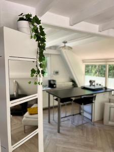 ein Wohnzimmer mit einer Leiter mit einer Pflanze darauf in der Unterkunft Vakantiewoning Sunclass Durbuy Ardennen huisnummer 68 in Durbuy