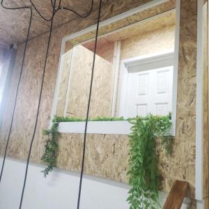 um quarto com uma janela e uma planta em Amplio piso de confort. em Vigo