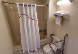 a bathroom with a shower curtain and a toilet at Red Roof Inn & Suites Cornelius - Lake Norman in Cornelius