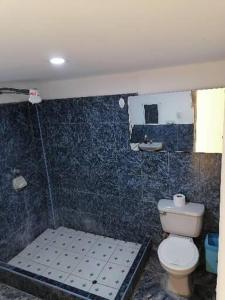 a bathroom with a toilet and a shower with blue tiles at SAN PAOLY. in Trujillo