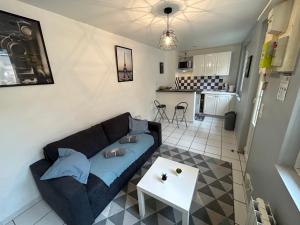 Kuchyň nebo kuchyňský kout v ubytování Chez Dany - Tiny House - Wi fi - centre ville