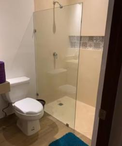 uma casa de banho com um WC e uma cabina de duche em vidro. em Telchac Villa de 3 pisos con club playa em Telchac Puerto