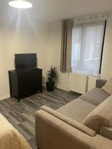 a living room with a couch and a flat screen tv at Au doux refuge in Drouvin-les-Marais