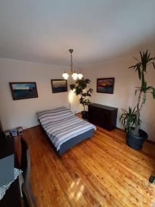 a bedroom with a bed and a wooden floor at Bronowice- parter domu in Kraków