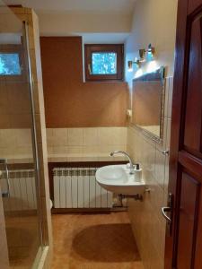 La petite salle de bains est pourvue d'un lavabo et d'une douche. dans l'établissement Bronowice- parter domu, à Cracovie