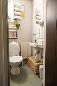a bathroom with a toilet and a sink at Litet gathus mitt i Ystad in Ystad