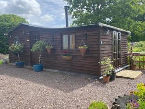 a small wooden cabin with potted plants on it at Martha's retreat in Wimborne Minster