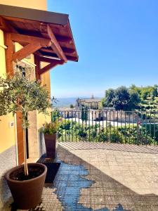 un patio con una maceta y una valla en Casa Checca appartamenti per vacanze en Caprarola