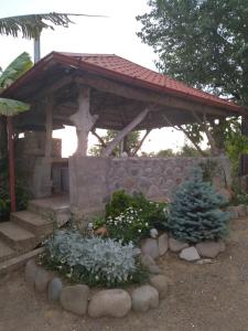 A garden outside Olga's Home