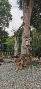 a tree with a bird house attached to it at Glamping Villa Gilma in Sevilla