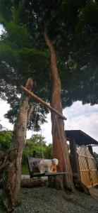 a teddy bear on a swing in a tree at Glamping Villa Gilma in Sevilla