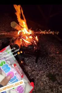 Gallery image of Glamping Villa Gilma in Sevilla