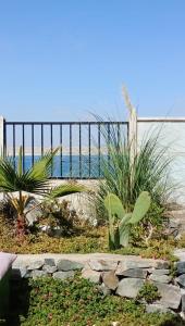 un jardín con plantas frente a una valla en Aldea Bahiguana, en Bahía Inglesa