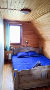 sypialnia z łóżkiem z niebieskimi poduszkami i oknem w obiekcie Viesu māja Kolnā pie Adamovas ezera. 