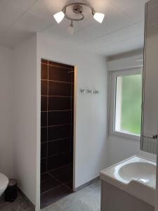 uma casa de banho com um chuveiro, um lavatório e um WC. em Auberge "la petite sirène" - GR34 Landévennec em Landévennec