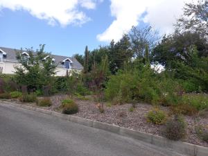 a garden on the side of a road at Teach na Coille B&B in Midleton +28 photos