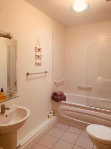 y baño con ducha, lavabo y aseo. en Courthouse View Penthouse en Clifden