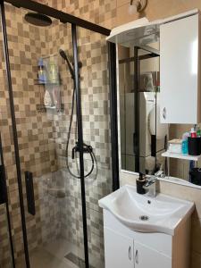 La salle de bains est pourvue d'une douche et d'un lavabo. dans l'établissement Old Town Oasis, à Podgorica