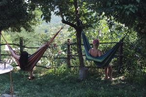 two people sitting in hammocks under a tree at Tuta House Sighnaghi in Sighnaghi